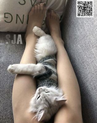 色婷婷精品青草_高清电影